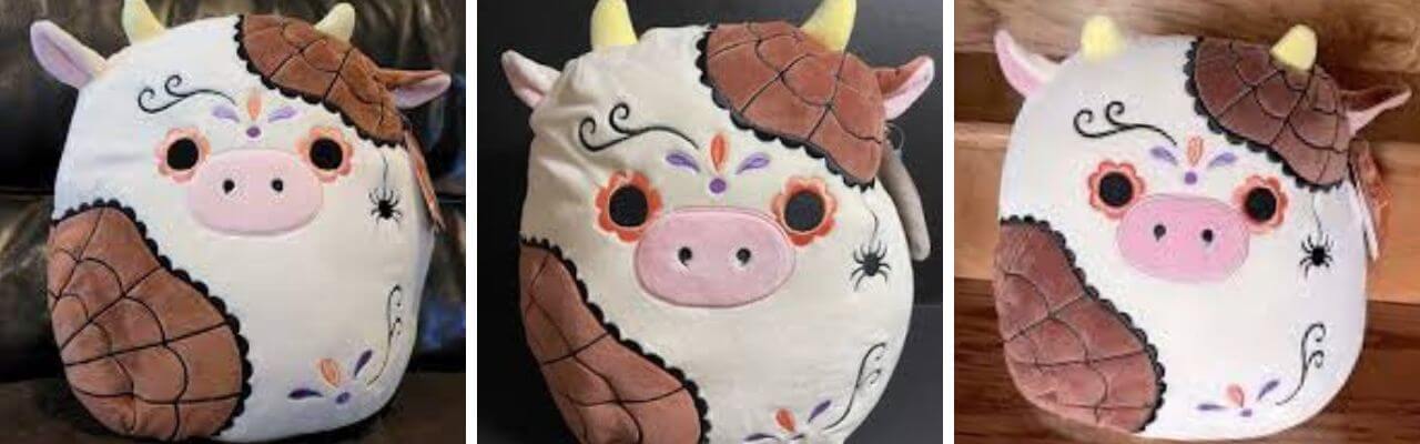 Ronnie: An Unexpected Favorite Squishmallow